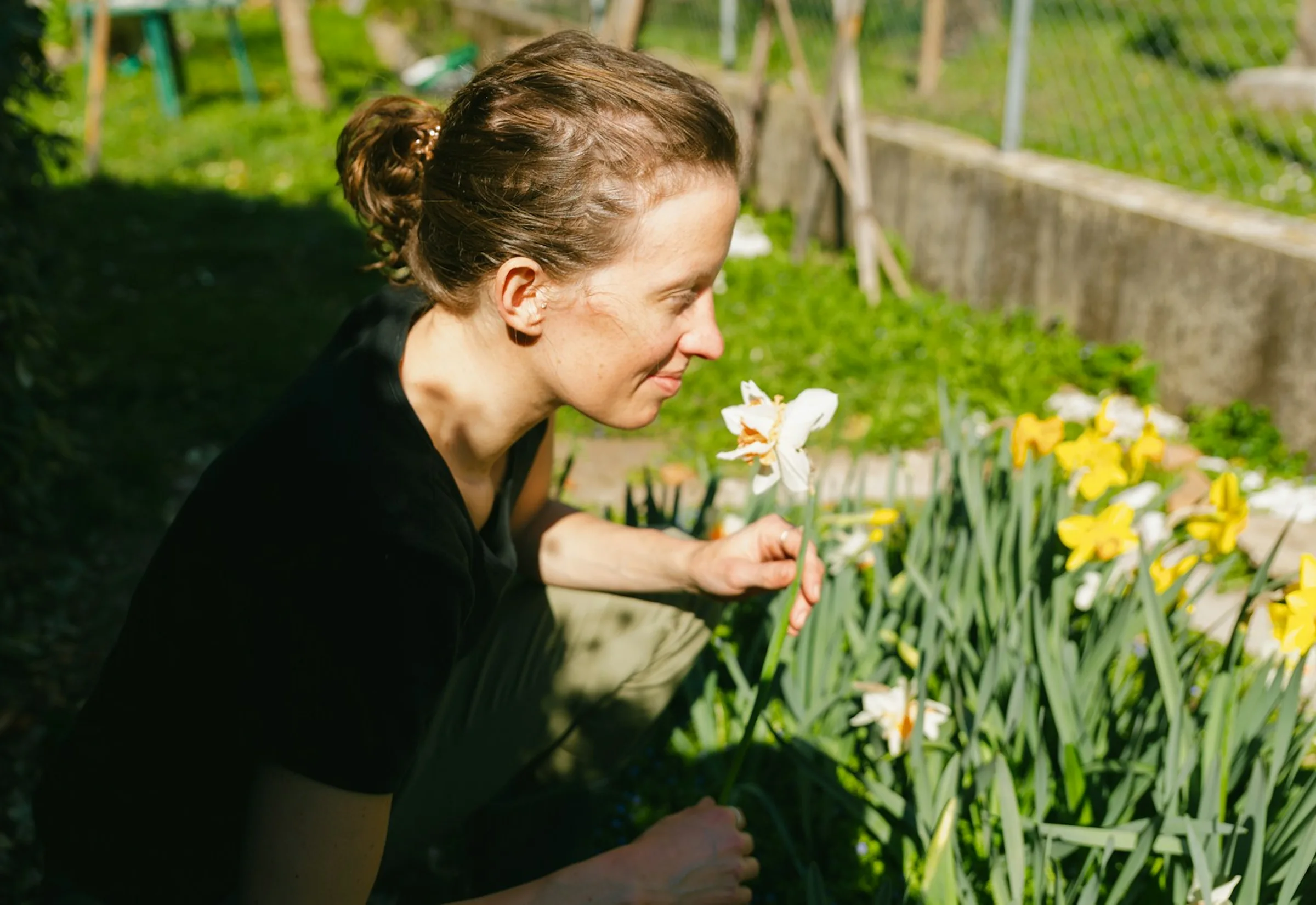 Woman smelling a white daffodil flower in a garden with yellow daffodils in the background.