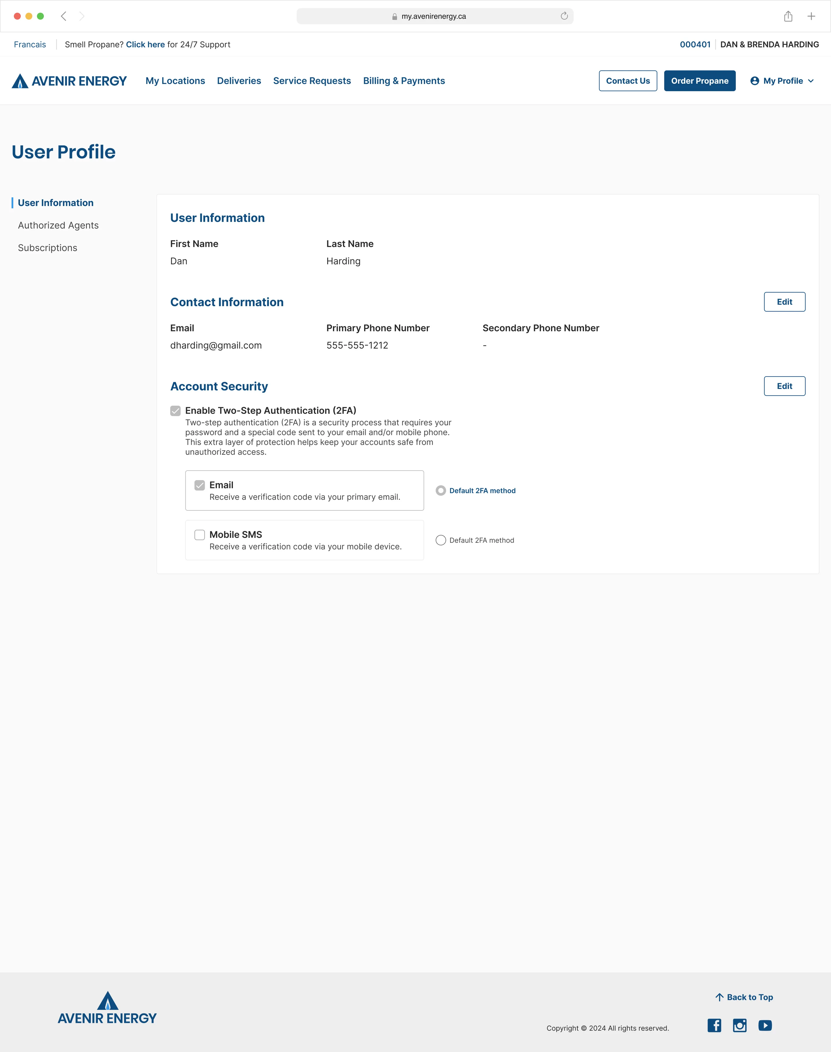 A screen from the Avenir Energy customer portal.