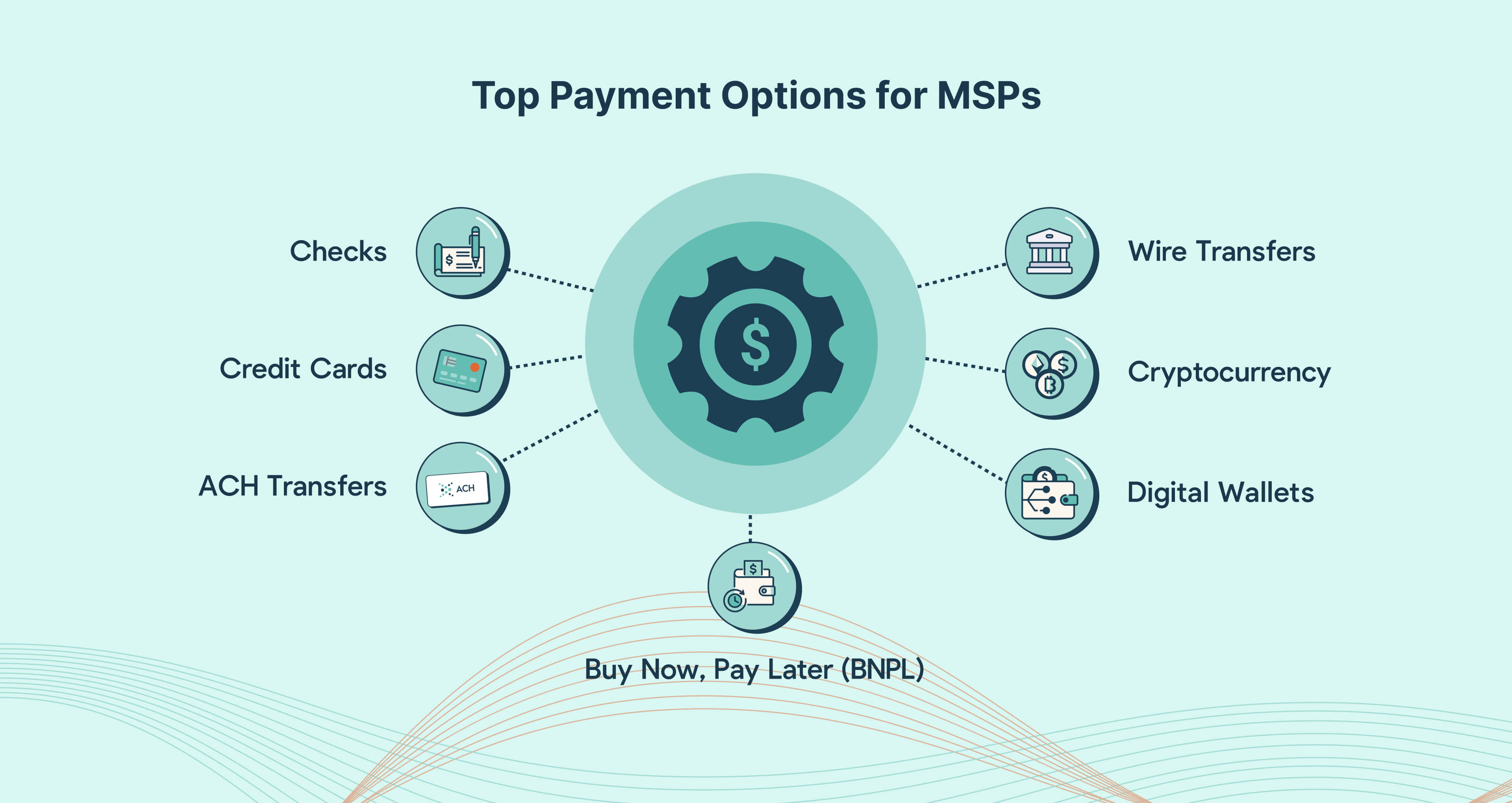 MSP Client Payment Options List