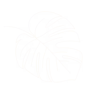 Monstera Leaf line drawing
