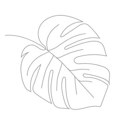 Monstera Leaf line drawing