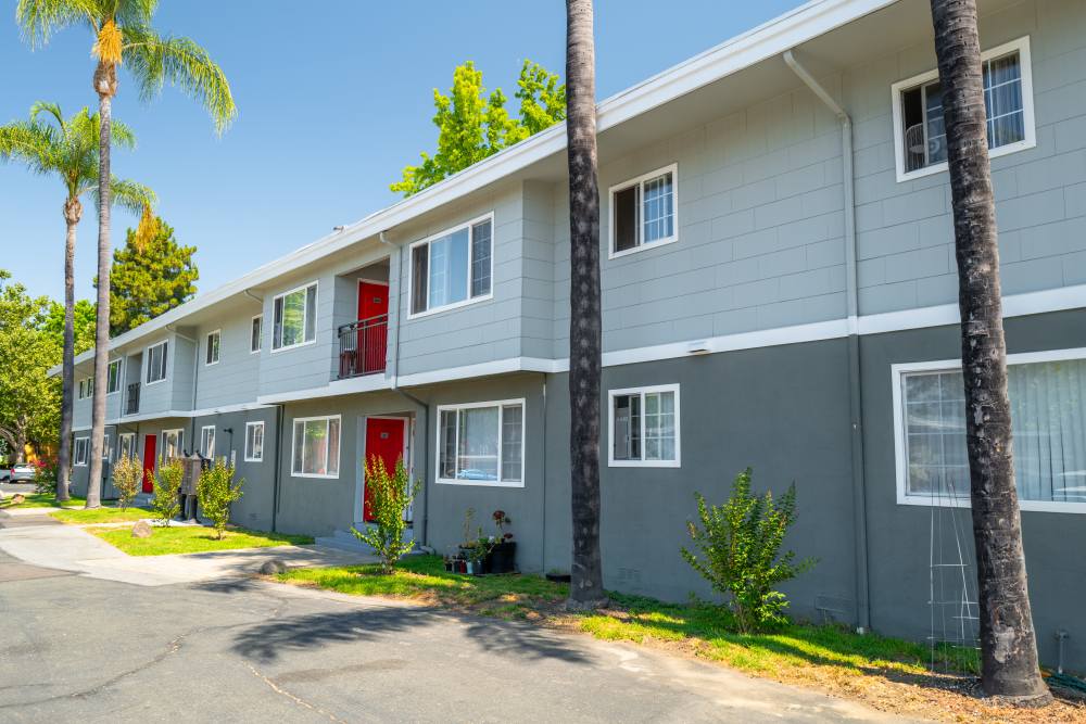 Exterior with palm trees
