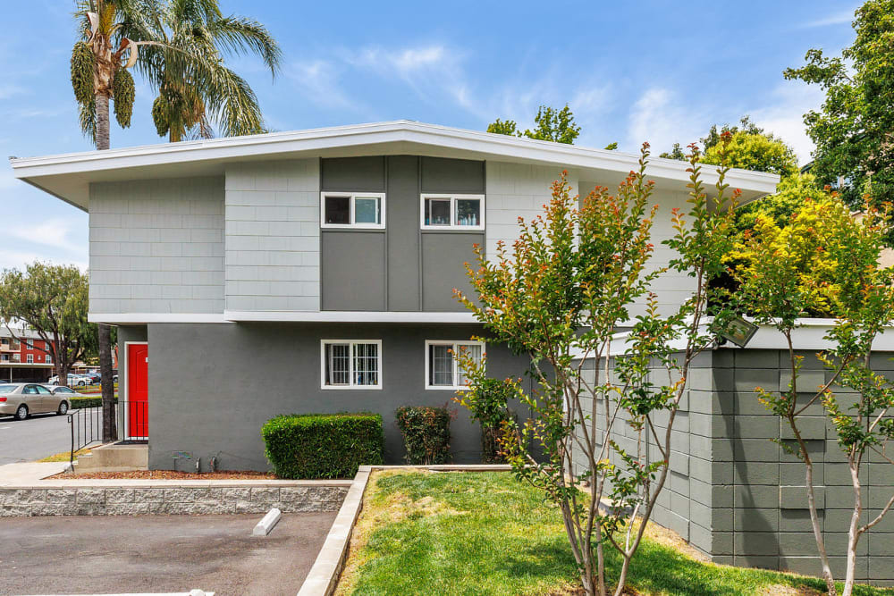 Exterior with palm trees