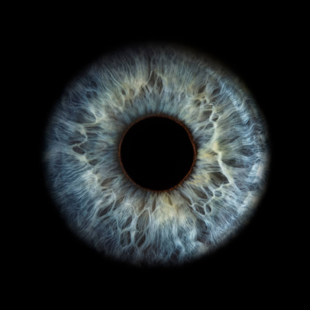 Extreme close-up of a blue human iris surrounding a black pupil.