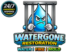 Water Gone Restoration, Orange County water, fire and mold restoration