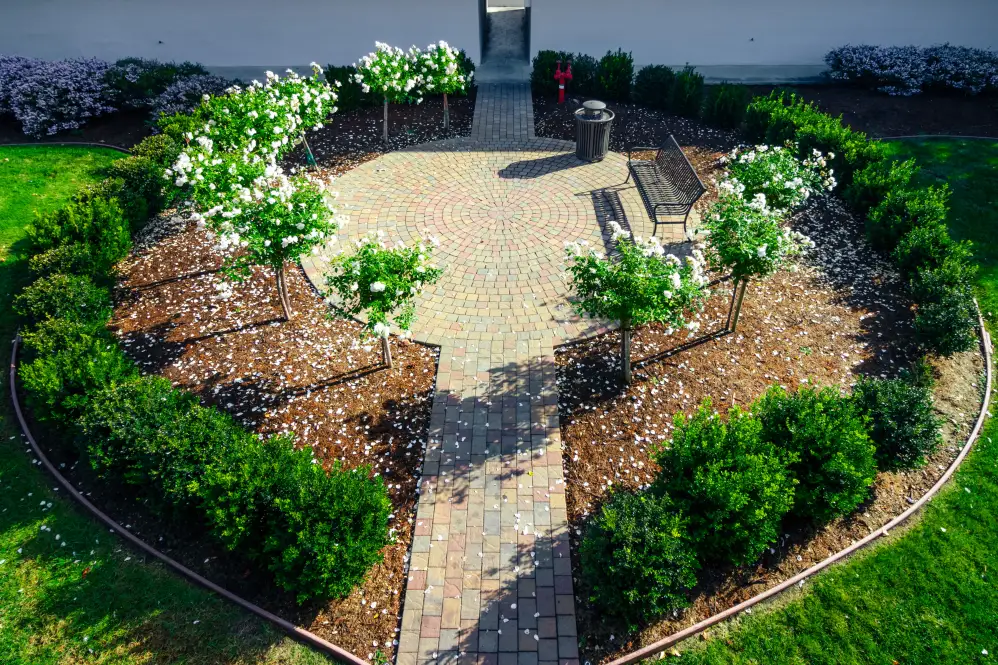 landscaping