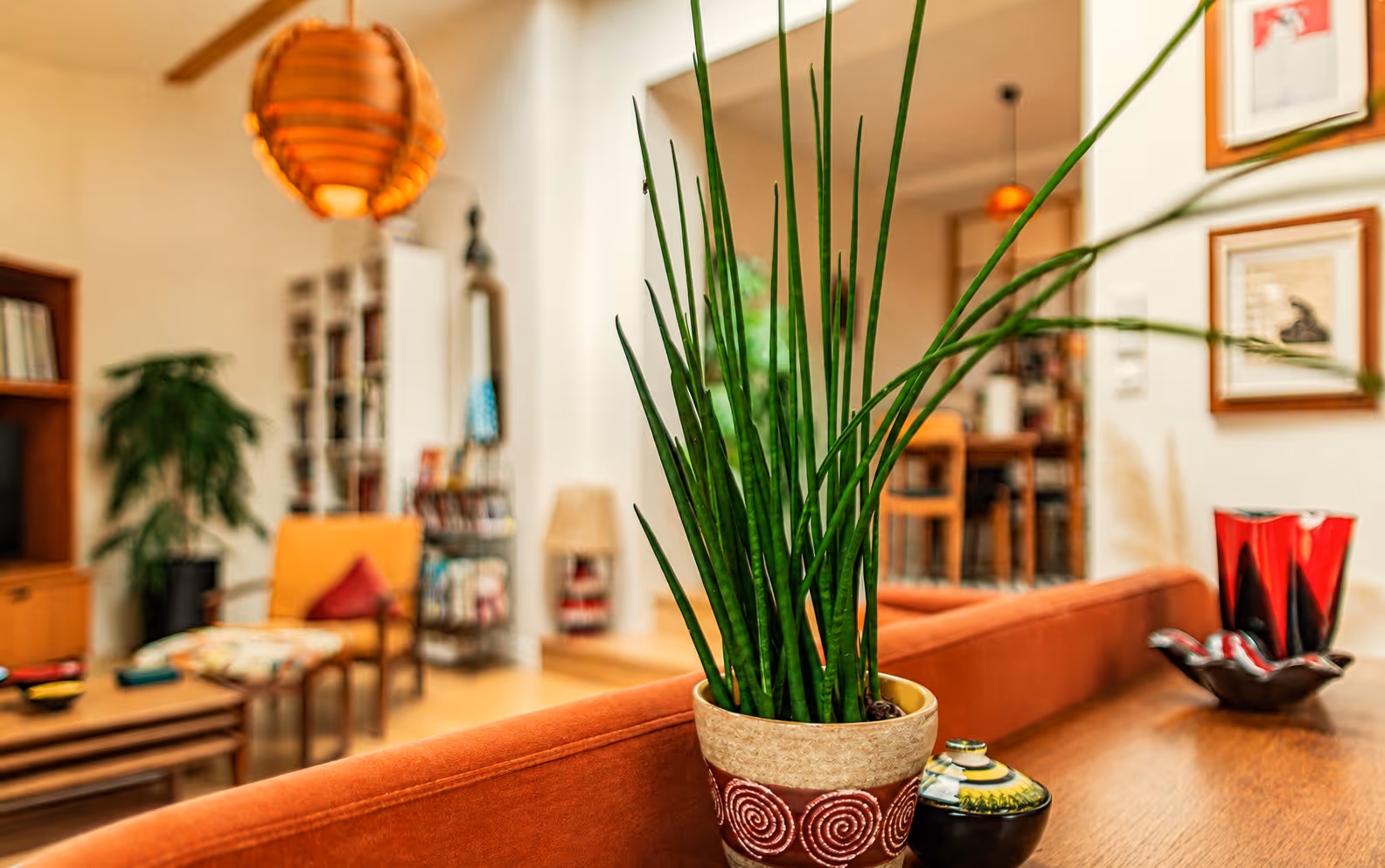 Bazin