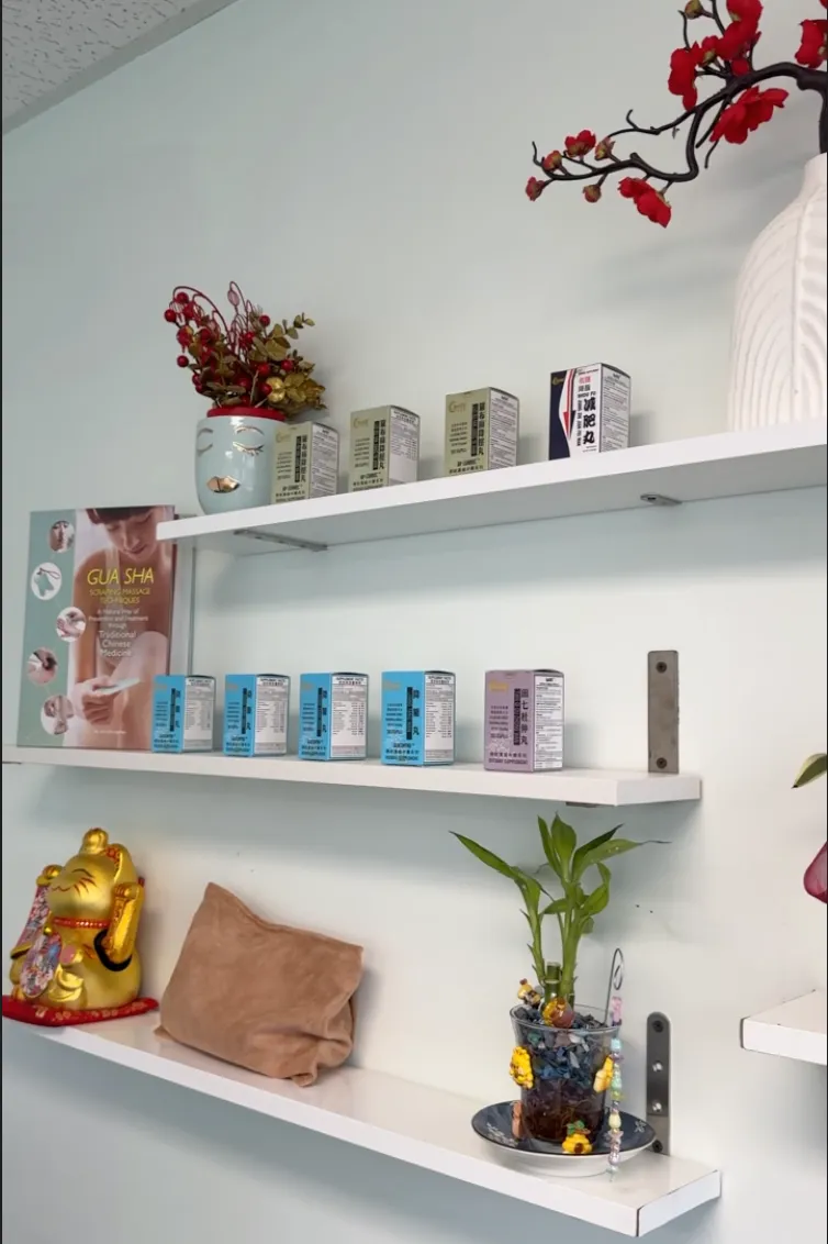 image of traditional chinese medicine ingredients