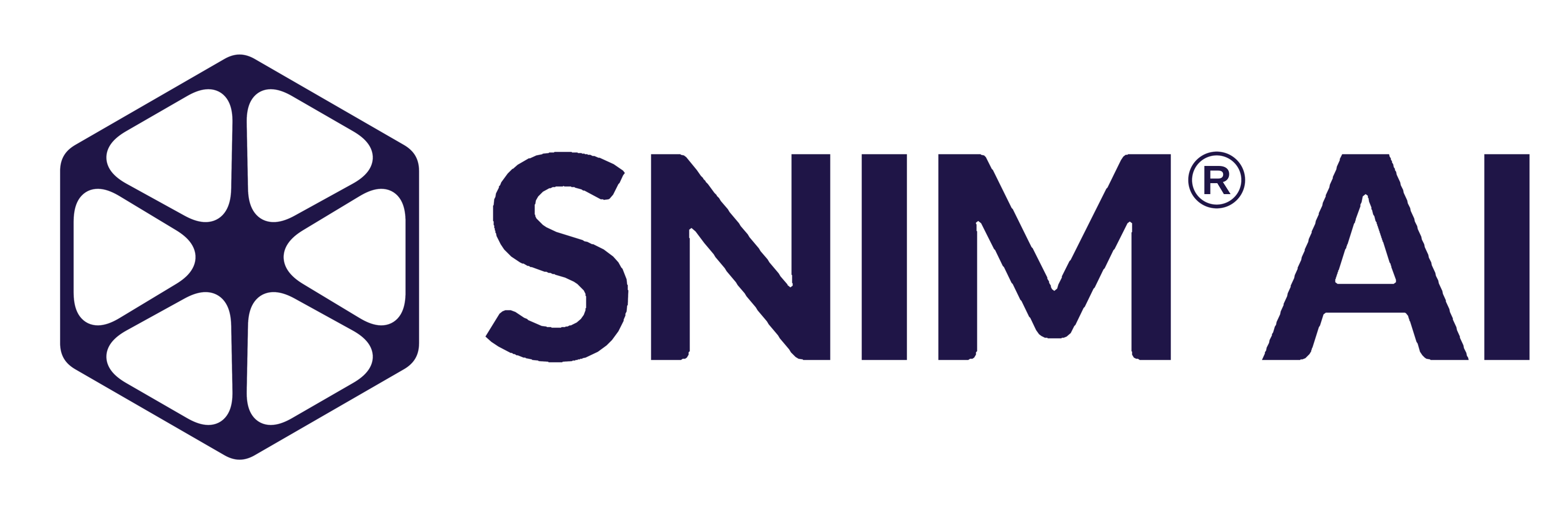 SNIM.ai