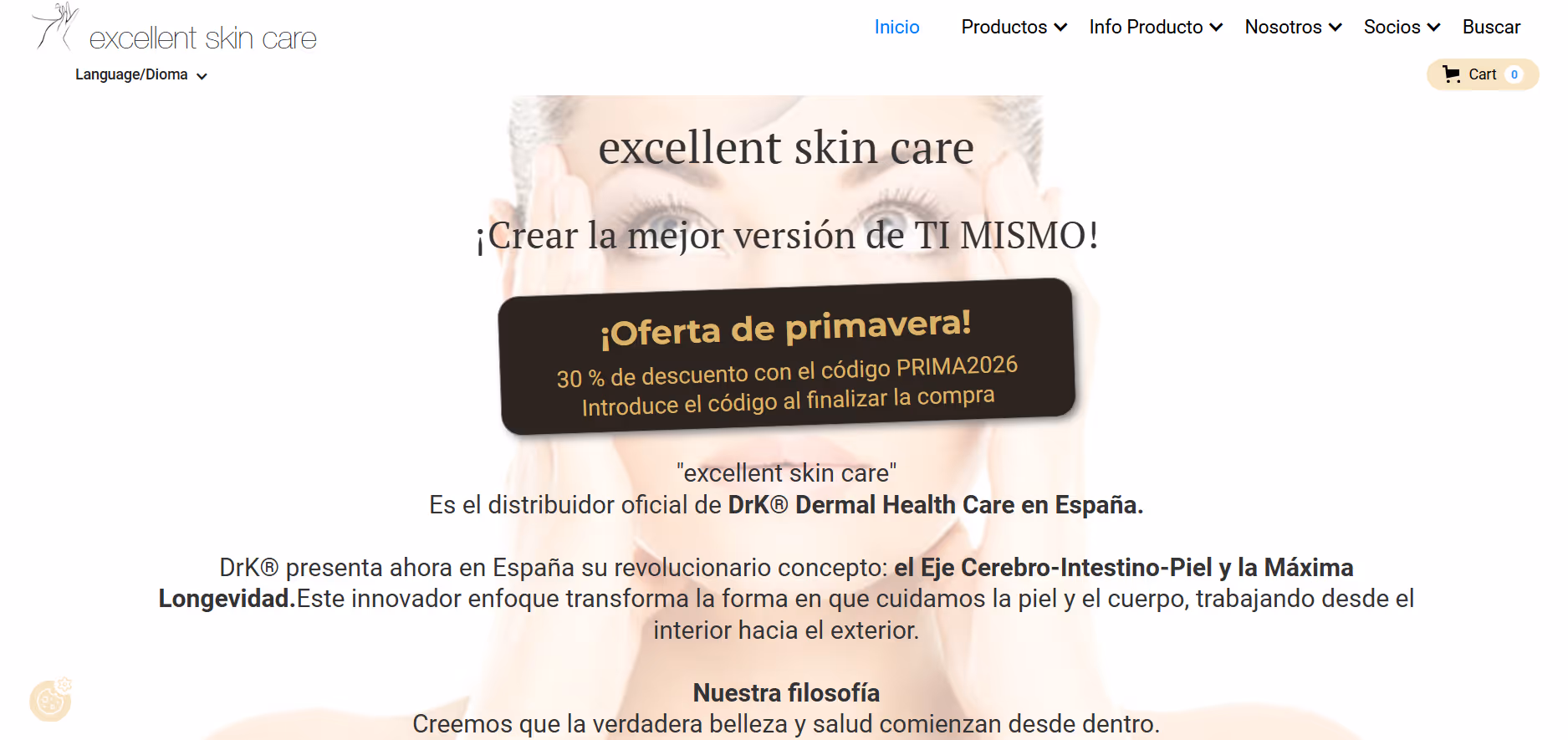 Visual Solutions - Websites