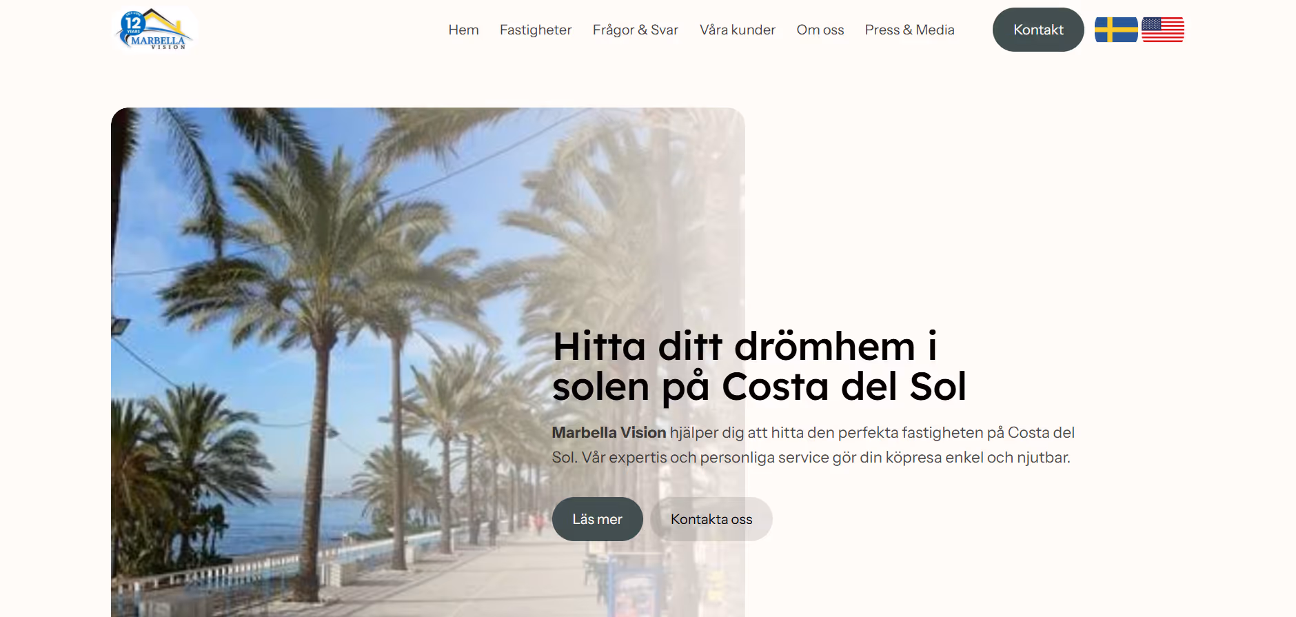 Visual Solutions - Websites