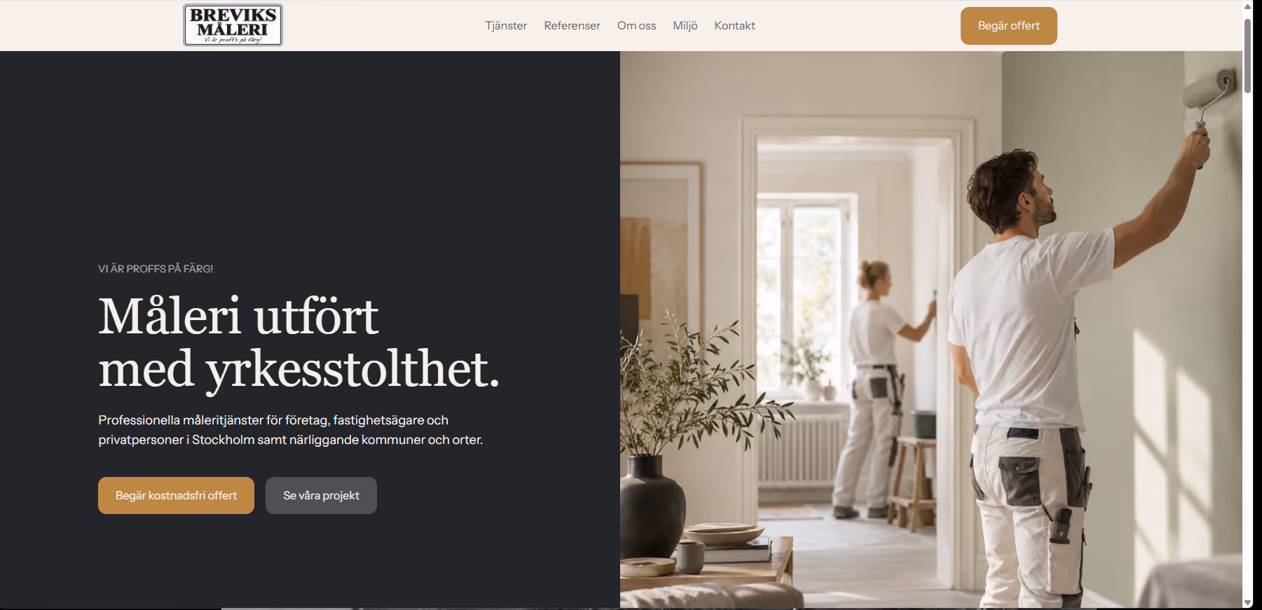 Visual Solutions - Websites