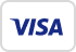 Visa Logo accepted payment