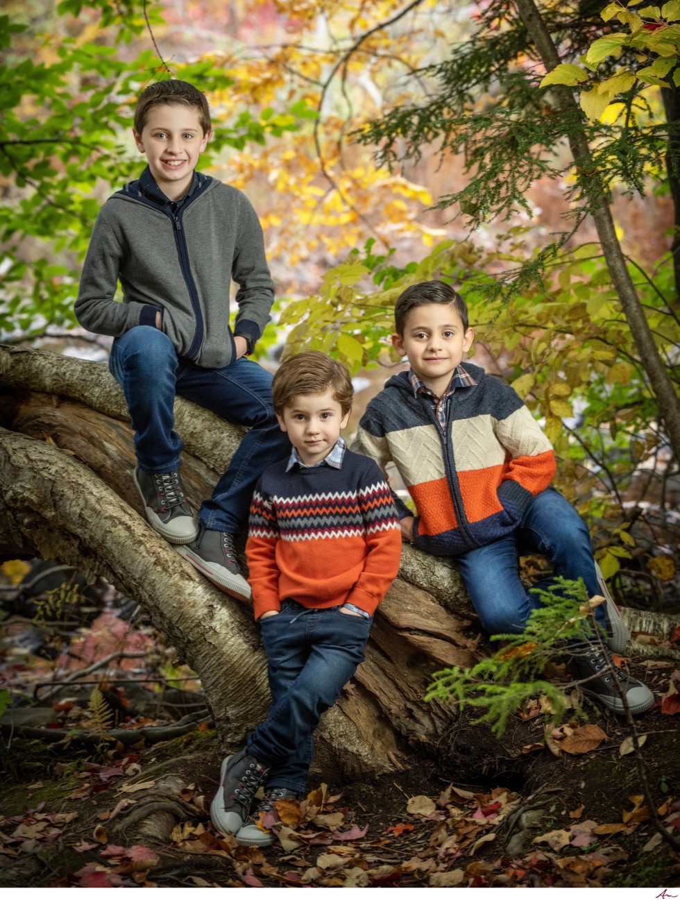Three brothers in sweaters on a fallen tree among fall leaves at Amesbury Gate park, Bedford