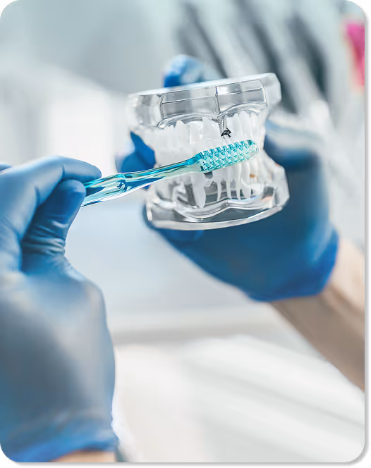 A gloved hand holds a toothbrush near a dental model with braces, demonstrating oral care.