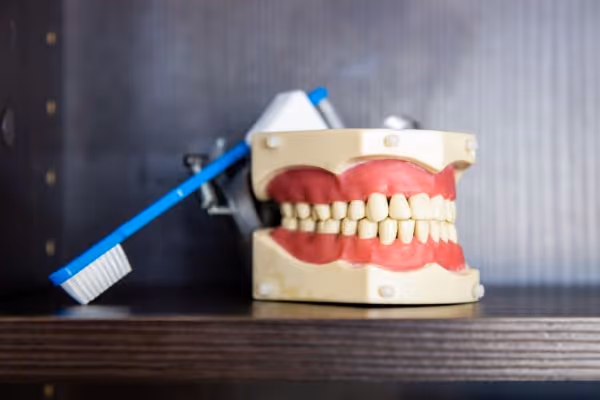 Dental model of teeth with gums beside a blue toothbrush on a wooden surface.