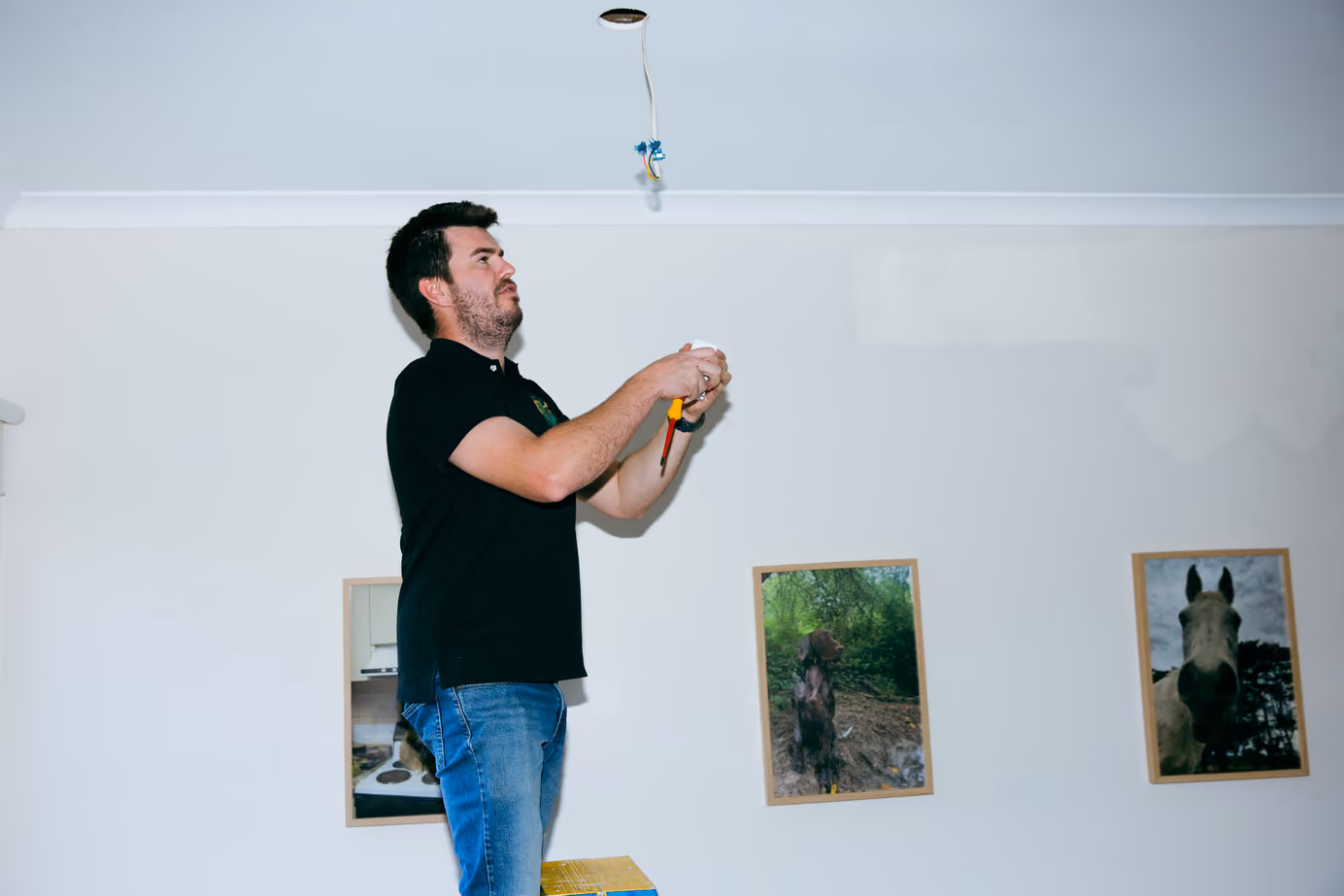 Kenny McCaskill from Ironox Electrical providing professional electrical services in Melbourne's Bayside and South Eastern suburbs.