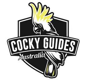 Project Sea Change supported by Cocky Guides
