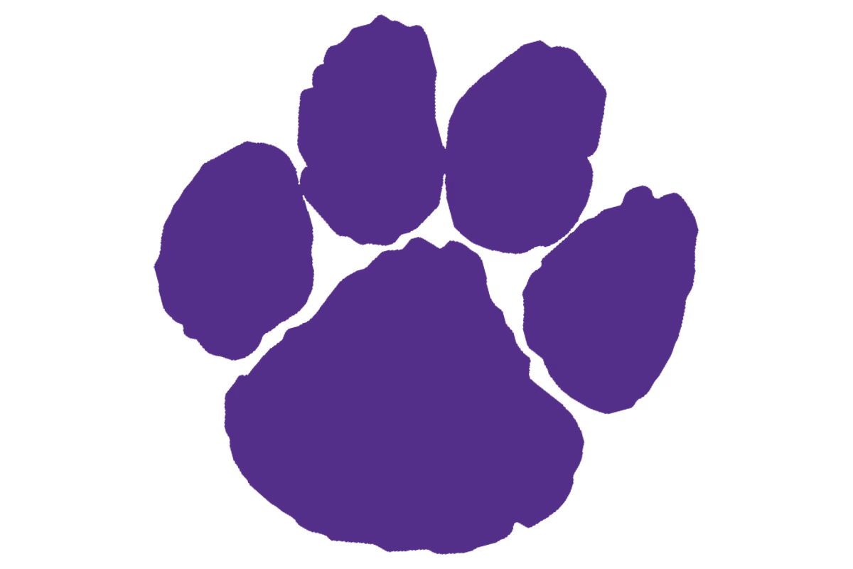 Fort Worth Paschal Panthers logo
