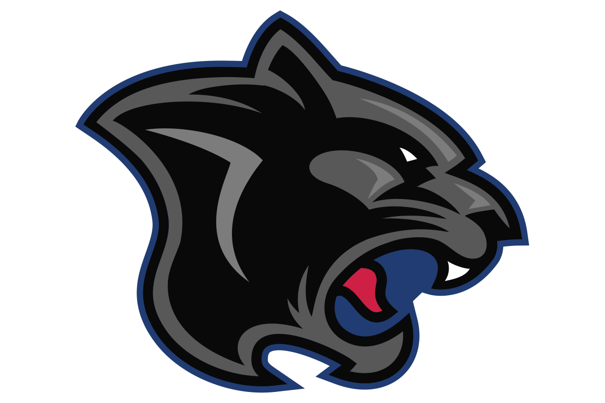 Cypress Springs Panthers1 logo