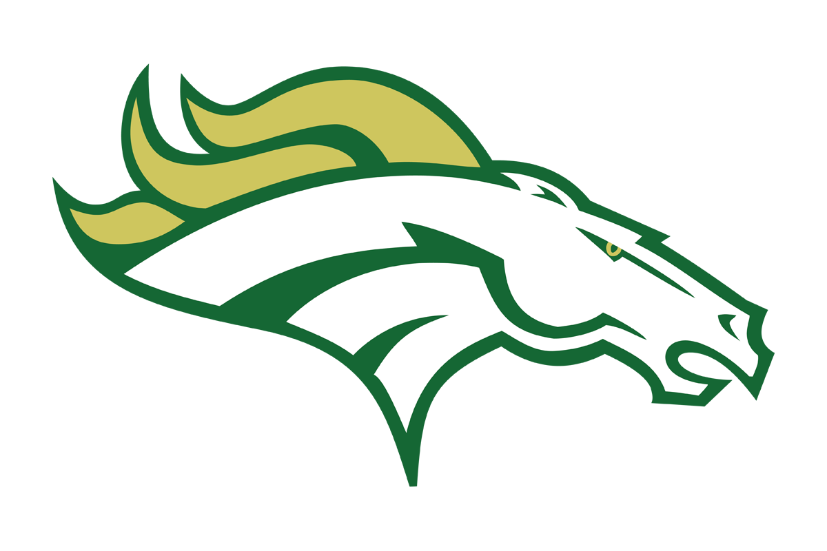 Houston Worthing Colts logo
