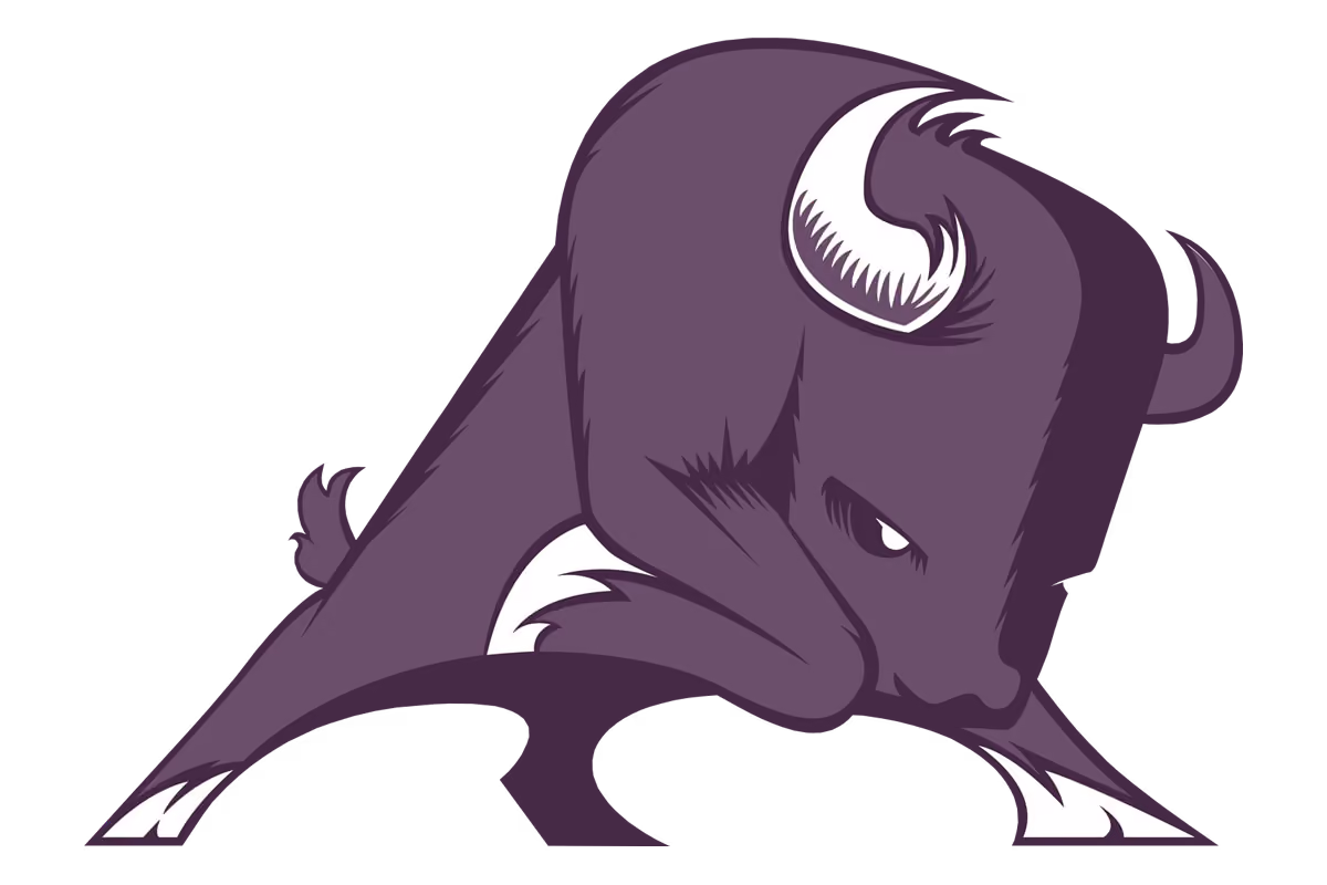 Dallas Sunset Bison logo