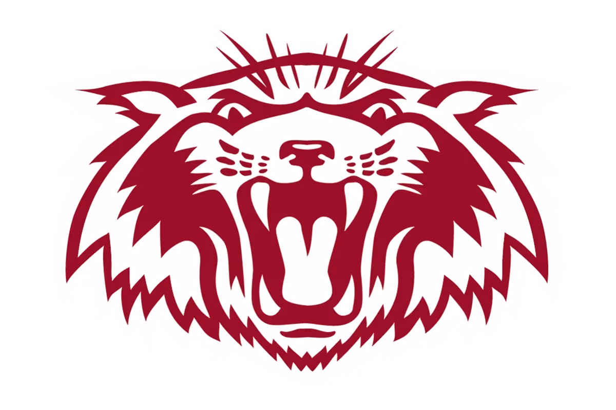 Plano Wildcats logo