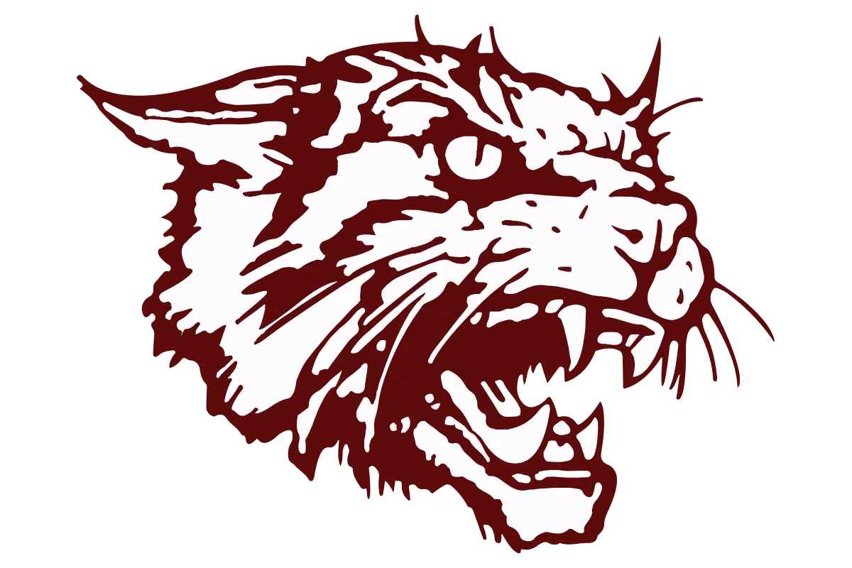 League City Clear Creek Wildcats1 logo
