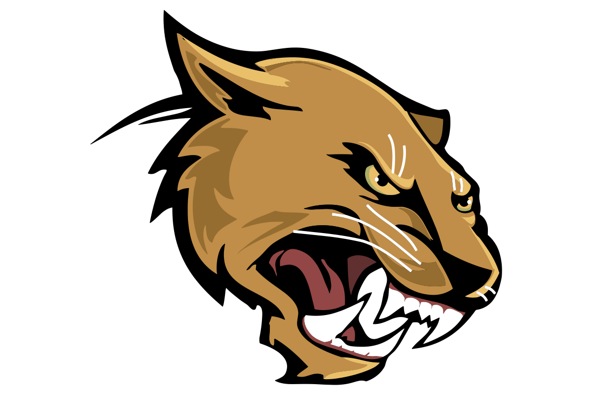 El Paso Austin Panthers logo