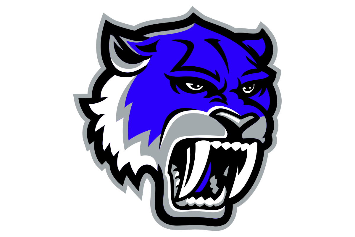 Edinburg Vela Sabercats1 logo