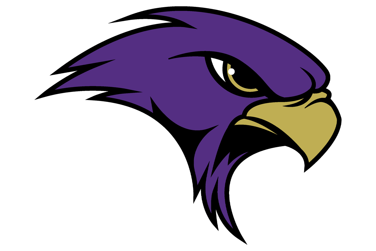 Keller Timber Creek Falcons1 logo