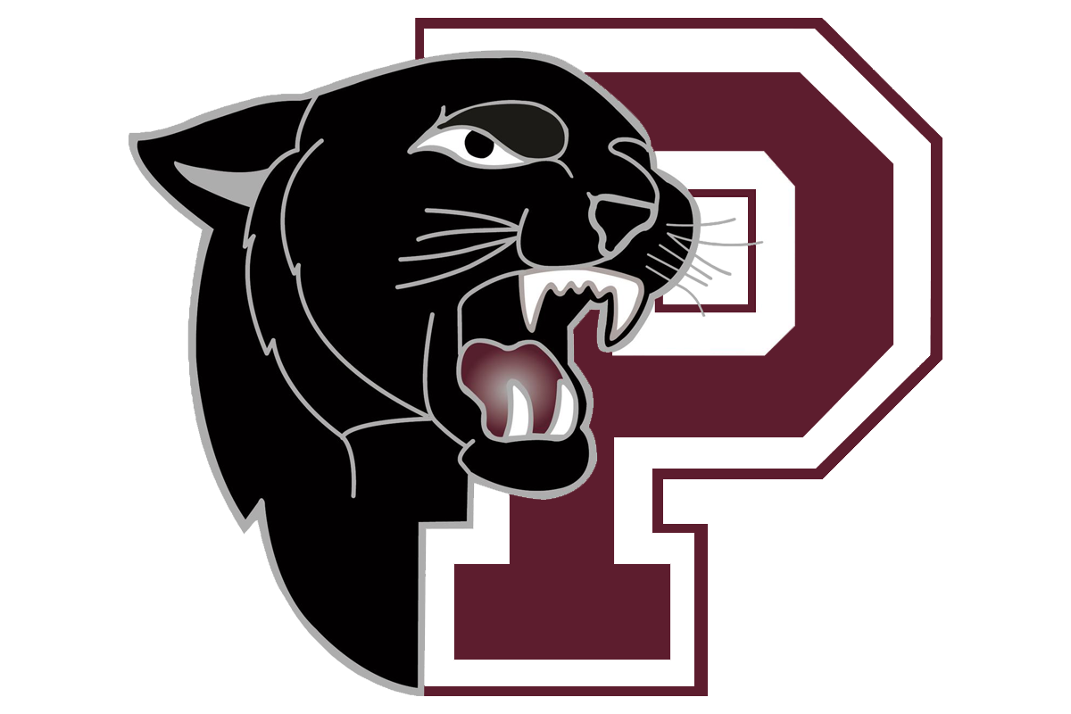 Princeton Panthers logo