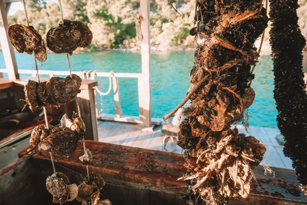 ston croatia itinerary