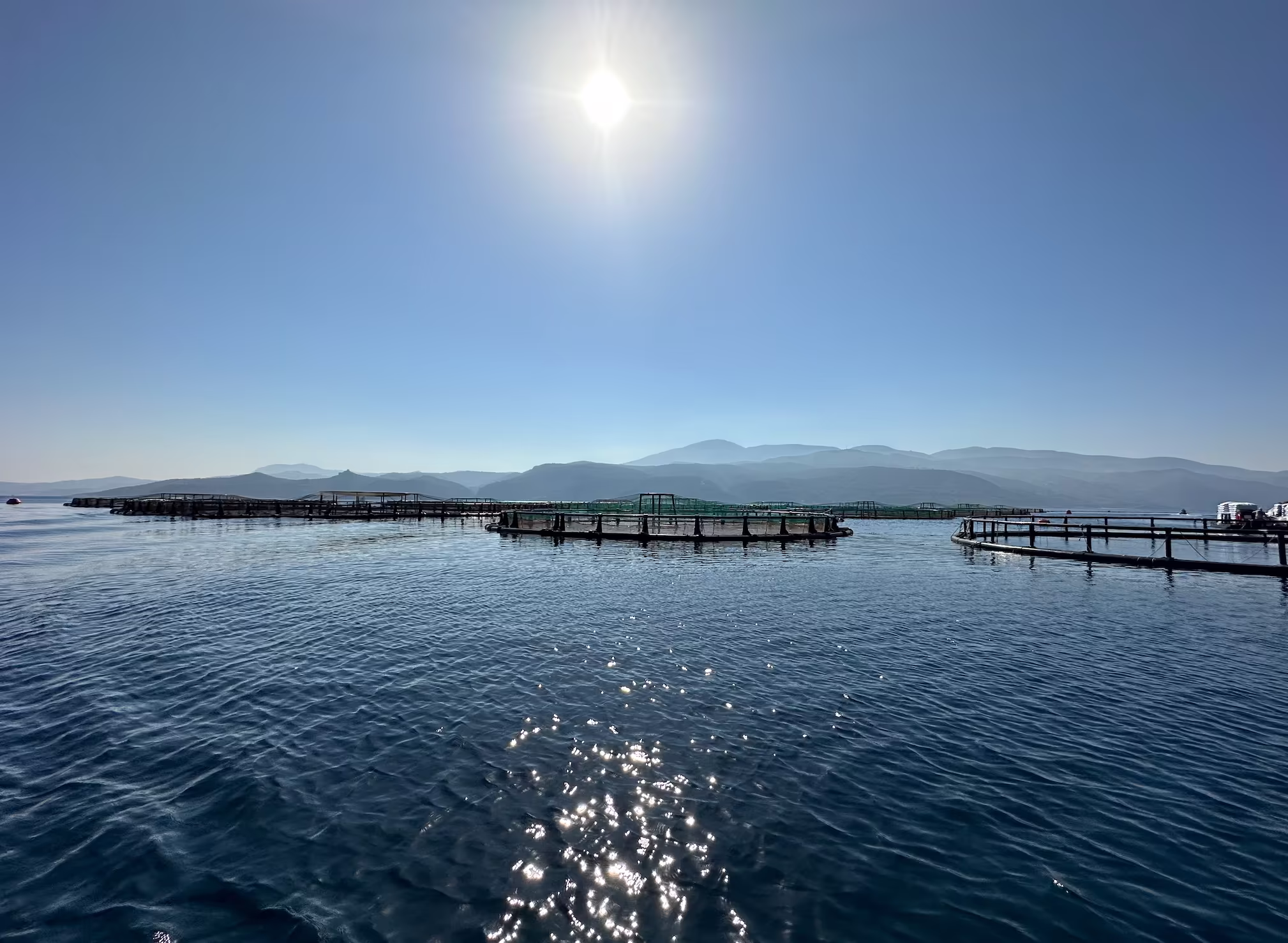 Coastal ocean view of a wild and farmed seafood sectors.