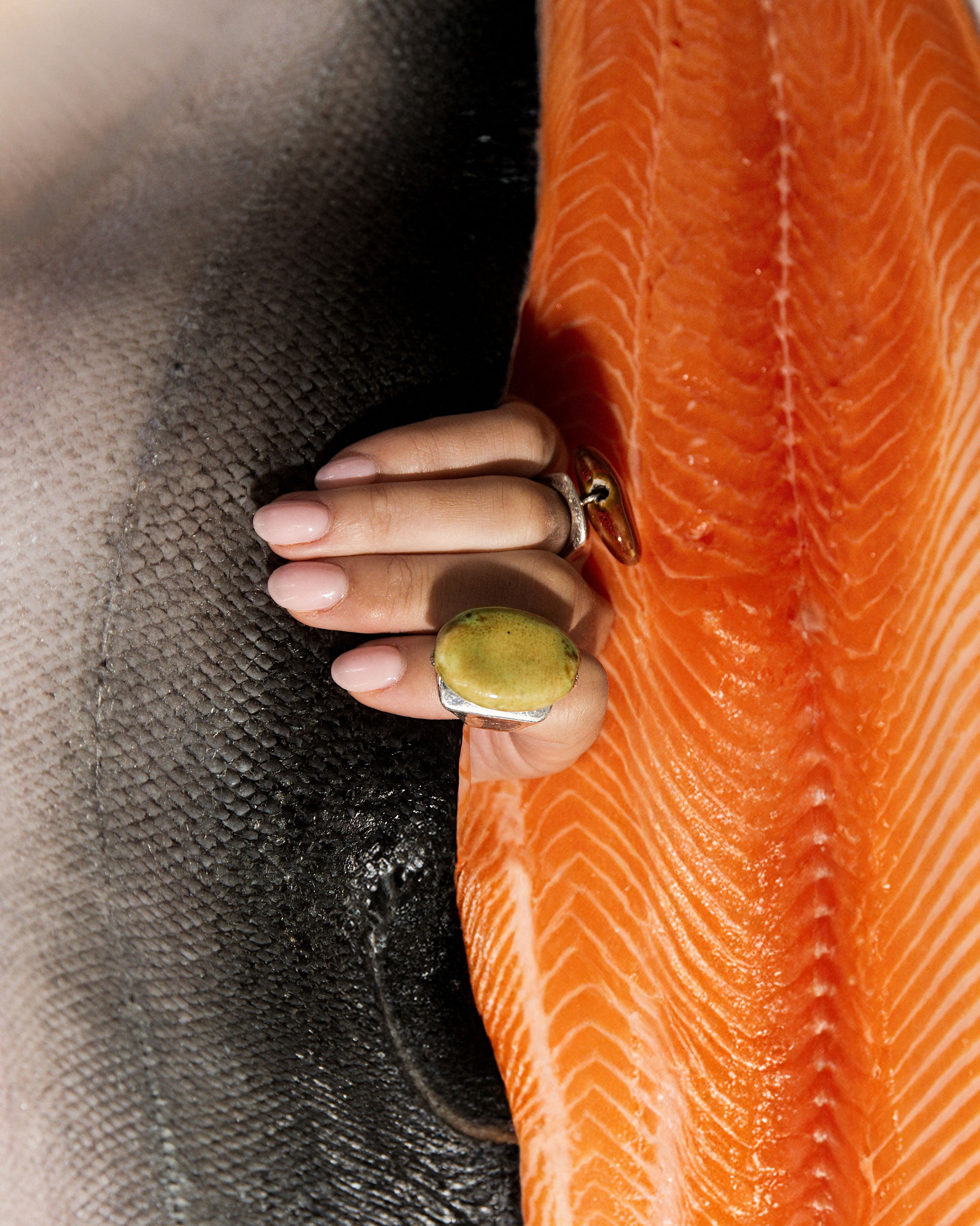 salmon