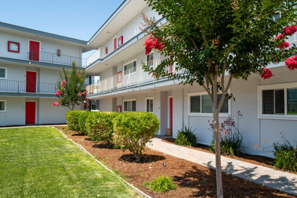 Exterior with trees