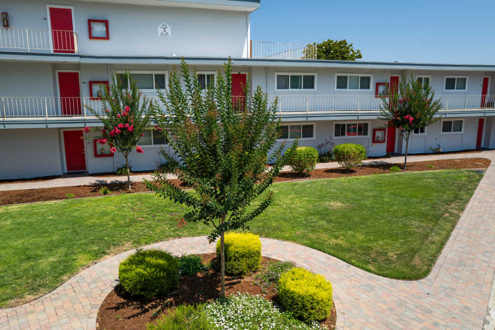 Exterior with trees