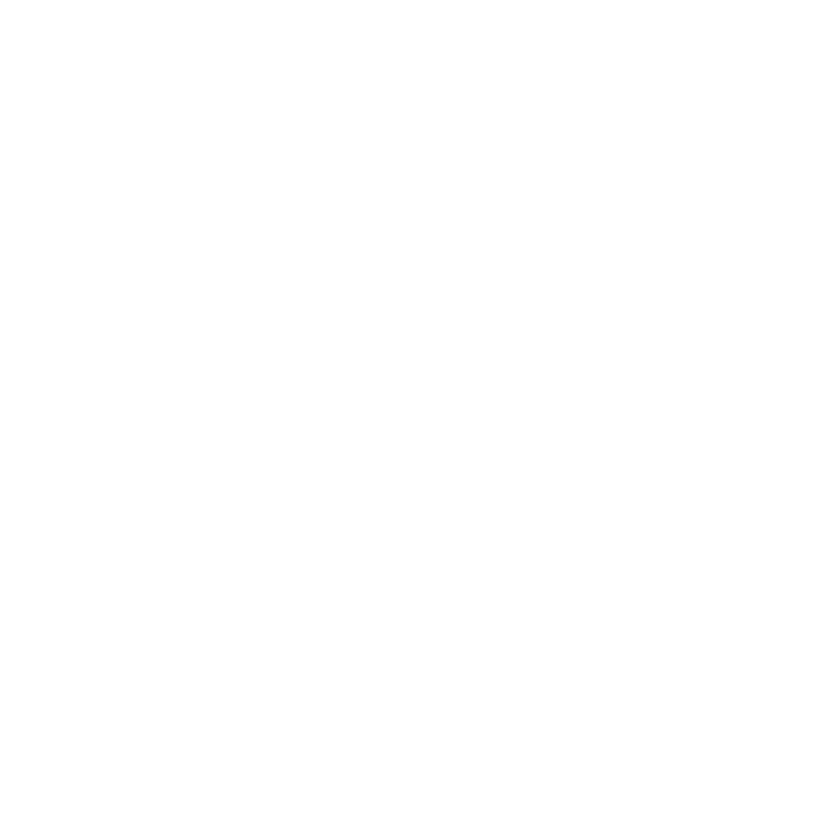 Sasha LeFleur logo