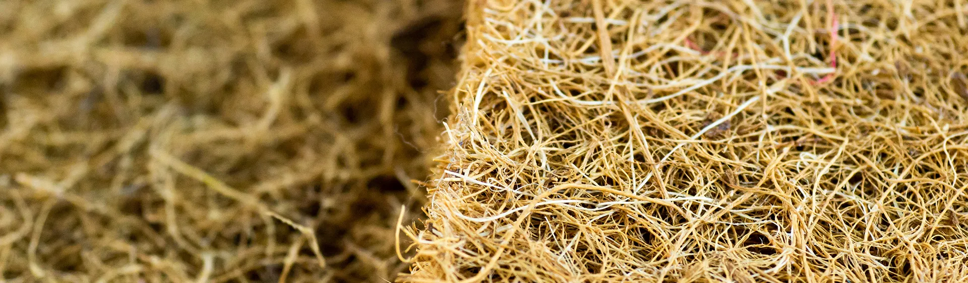 Sustainable bio-materials produced at Valorizen