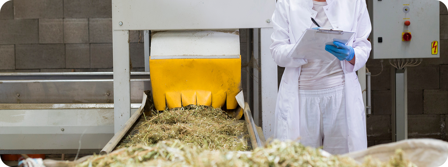 Researcher in lab coat inspecting biomass processing equipment as agricultural fiber material feeds through an industrial hopper