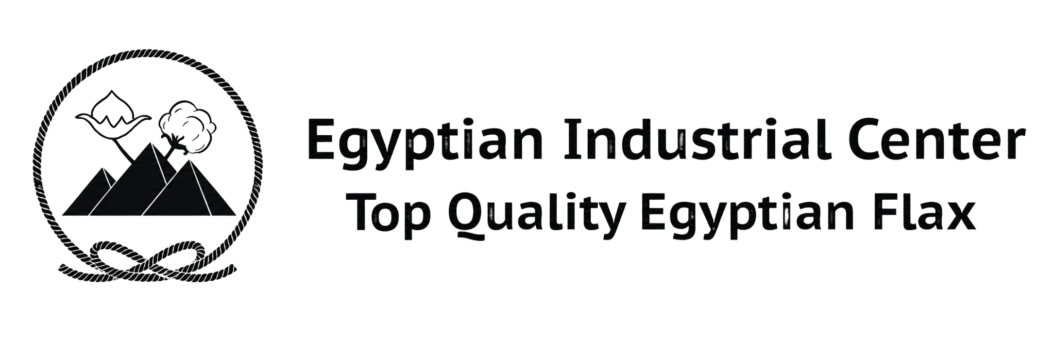 Egyptian Industrial Center logo — Valorizen partner