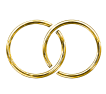Interlocking rings icon representing weddings