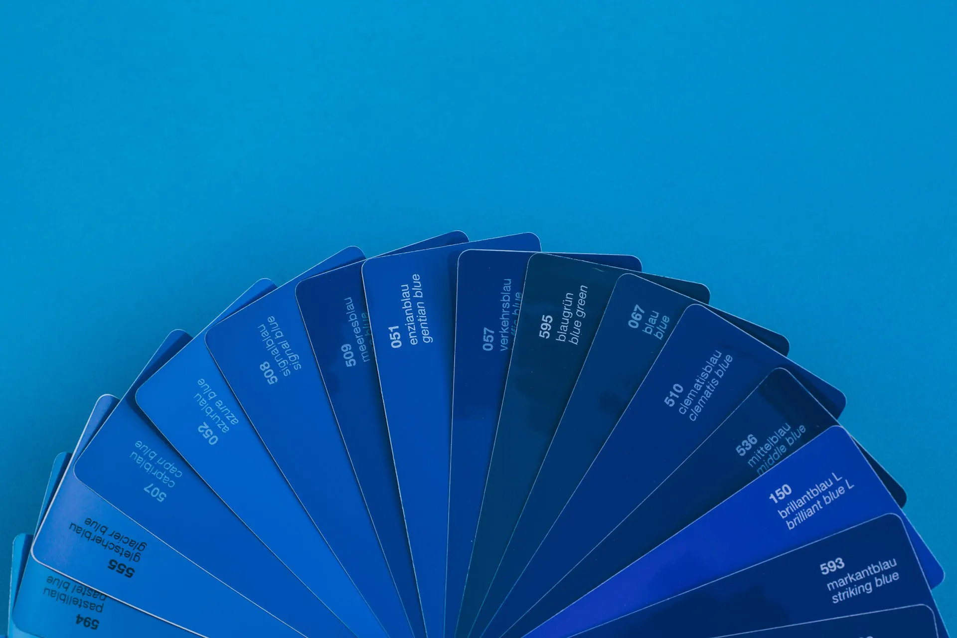 color palette