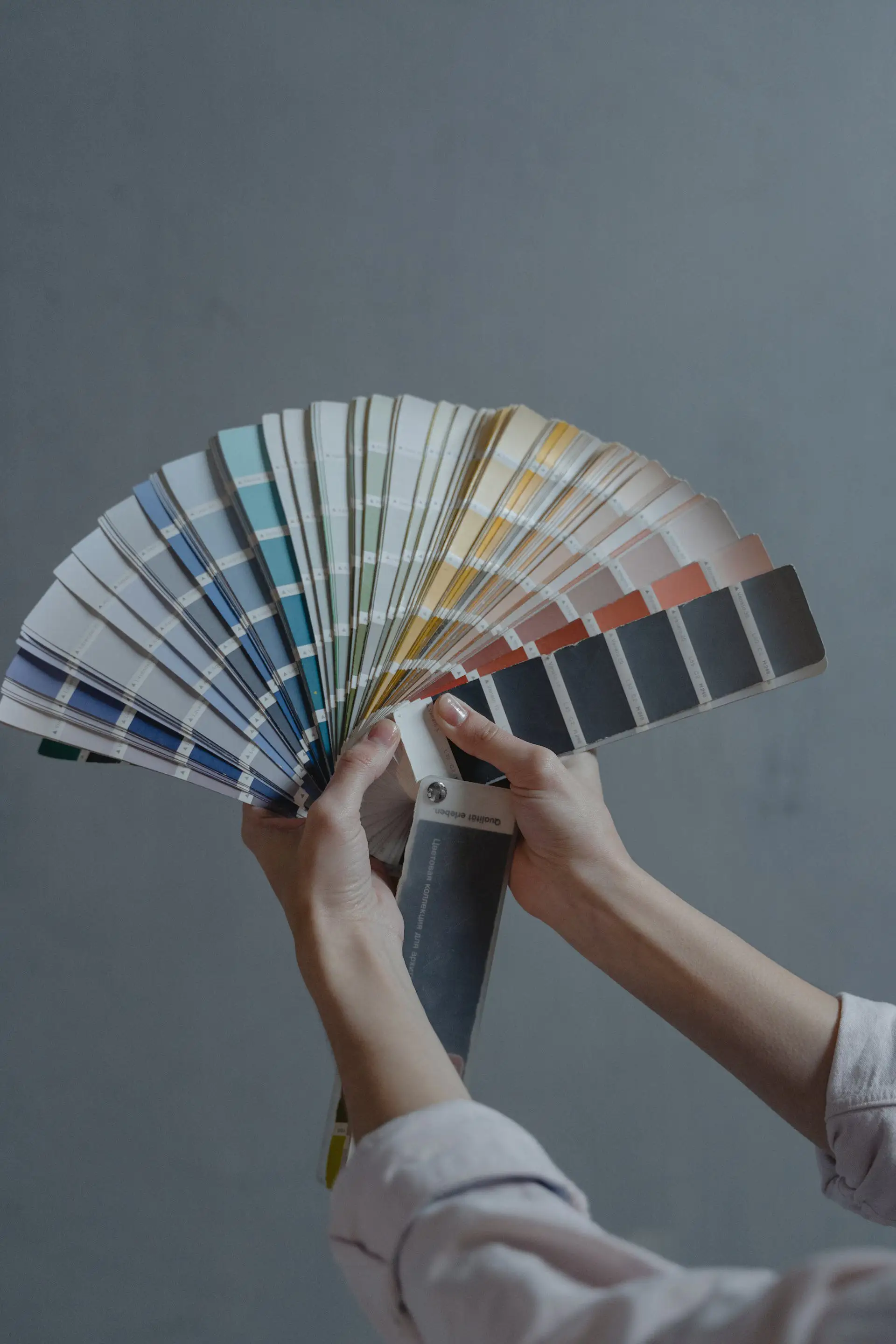 color palette