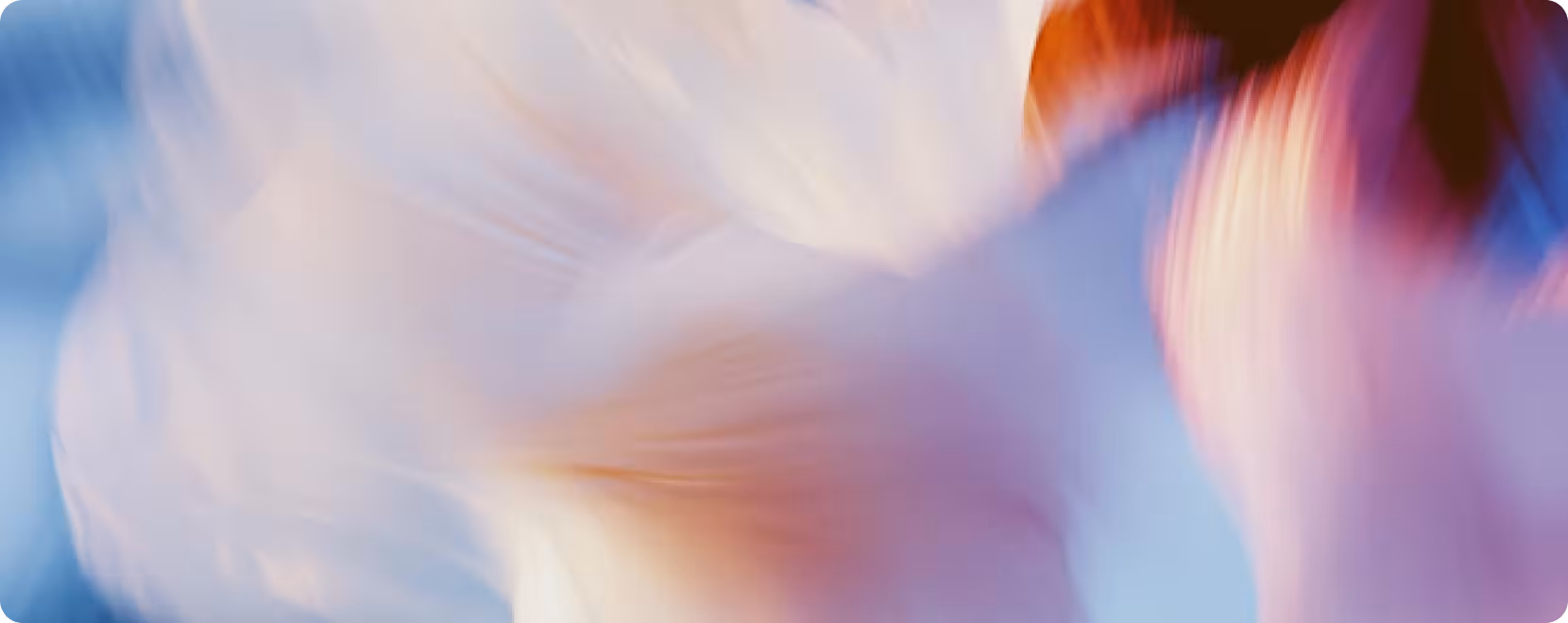blog detail body image