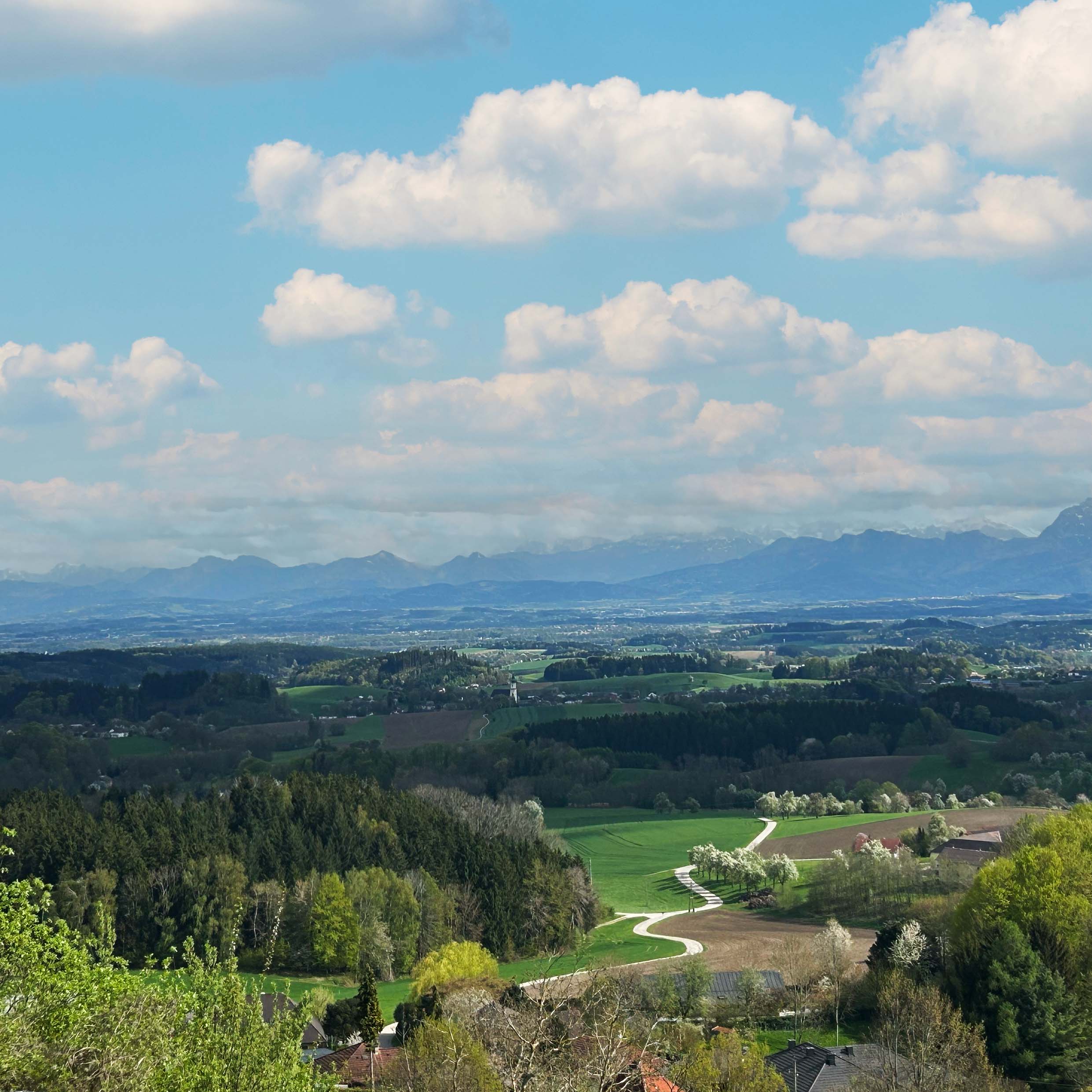 Landschaft mit grünen Feldern, Bäumen, einem geschwungenen Weg und Bergen unter blauem Himmel mit Wolken.