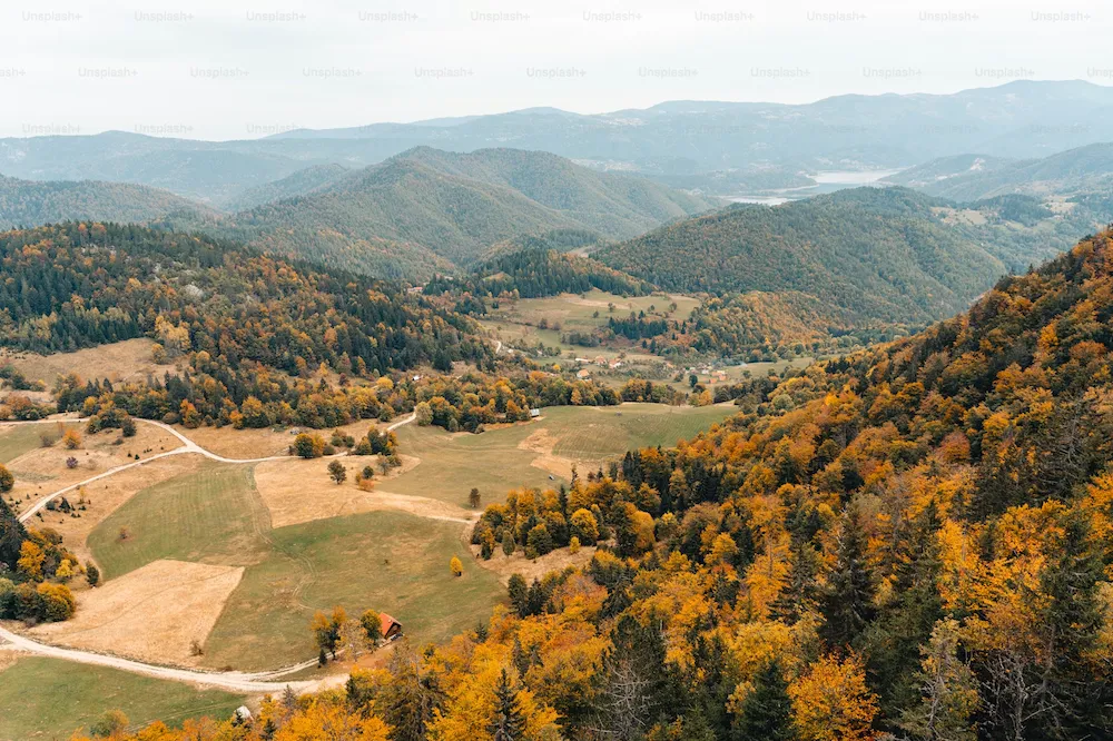 Aerial view of rolling hills with dense autumn foliage and scattered houses in a valley.