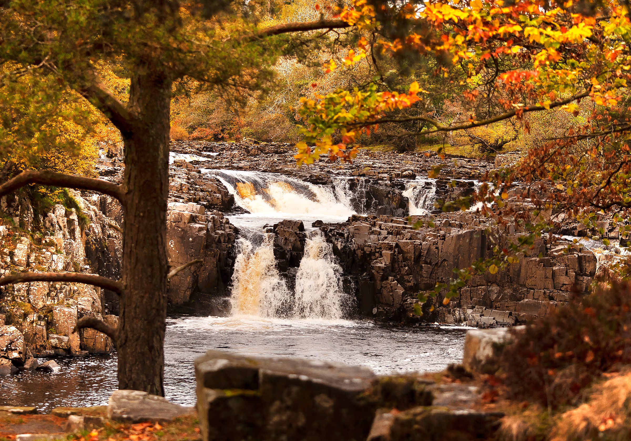 Low Force waterfall in Teesdale, representing the local area served by Pennine Websites