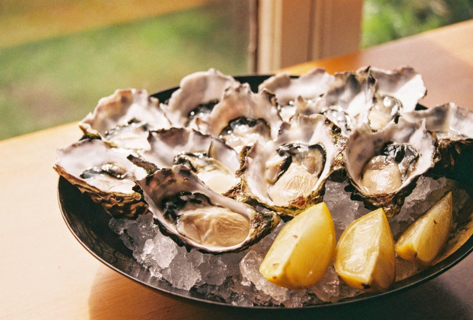 Oysters