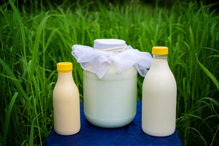 Kefir